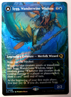 Sygg, Wanderwine Wisdom - FOIL Borderless - MTG Lorwyn Eclipsed - Rare - 0288 NM - Image 1
