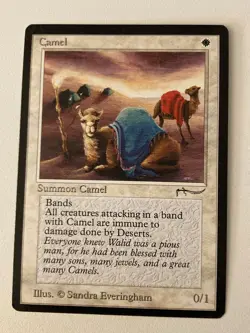Magic the Gathering MTG Arabian Nights Camel LP (Beta Bob) - Image 1