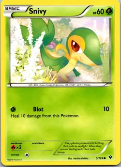 Snivy 5/124 - XY - Fates Collide - NM Pokemon TCG - Image 1