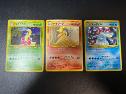 [US Duty Inc] Typhlosion Meganium Feraligatr Holo Neo Japanese Pokemon Card #2 - Image 1