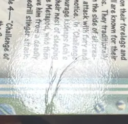 Pokemon TCG #15 Beedrill Non-Holo Blue Logo Pokemon 1999 Topps TV Vintage DMG - Image 3