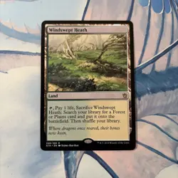 Wizards Windswept Heath Rare Land Khans of Tarkir Regular 2014 English MTG NM x1 - Image 1