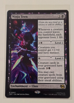 Ninja Teen Teenage Mutant Ninja Turtles Regular - Image 1