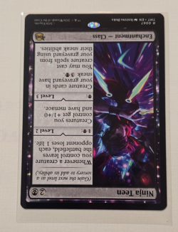 Ninja Teen Teenage Mutant Ninja Turtles Regular - Image 3