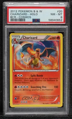 Charizard Holo Pokemon Black & White Boundaries Crossed PSA 8 - Image 1