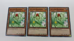 3x NATURIA ROSEWHIP MONSTER HAC1-EN099 1ST EDITION COMMON YUGIOH NM / UNPLAYED - Image 1