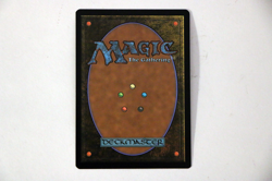 Magic the Gathering MTG Nazgul 0336 Lord of the Rings Regular Near Mint - Image 3