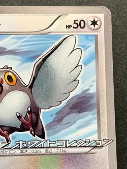 Pokemon card Pidove 002/BW-P PROMO 2010 Japanese Pocket Monster Nintendo Rare - Image 3