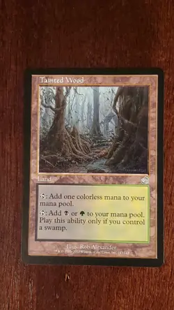 Tainted Wood Torment EX/LP 143/143 MTG Magic the Gathering Land Uncommon - Image 3