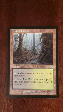 Tainted Wood Torment EX/LP 143/143 MTG Magic the Gathering Land Uncommon - Image 5