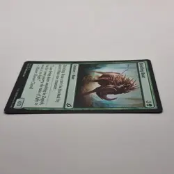MTG: Bristling Boar 146/274 - Ikoria Lair of Behemoths 2020 Green Common - Image 3