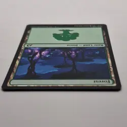 MTG: Forest 274/274 - Ikoria Lair of Behemoths 2020 Basic Land - Forest Common - Image 4
