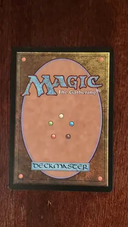 Spidersilk Armor Mercadian Masques EX/LP 273/350 MTG Magic the Gathering Common - Image 2