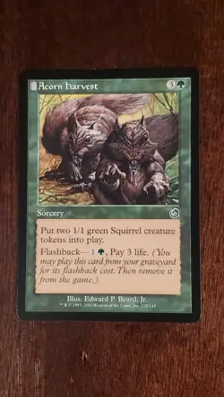 Acorn Harvest Torment EX/LP 118/143 MTG Magic the Gathering Sorcery Common - Image 3