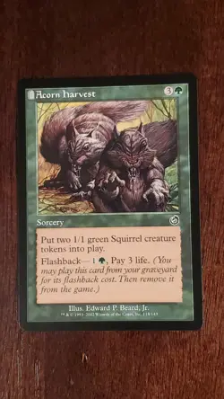 Acorn Harvest Torment EX/LP 118/143 MTG Magic the Gathering Sorcery Common - Image 5
