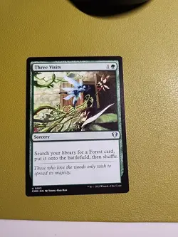 Three Visits - 913 / English / Near Mint MTG - Image 1