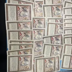 Living Wall Mtg Revised Bulk Card Lot - Image 5