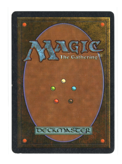 MTG - Powerleech - Normal - Antiquities - LP - Image 2