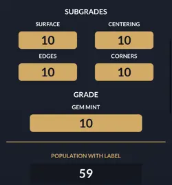 Luffy P-110 ACE 10 + DON!! One Piece Day 25 2025 Promo Set Japanese Lego - Image 3