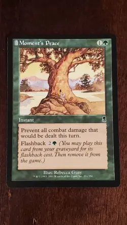 Moment's Peace Odyssey EX/LP 251/350 MTG Magic the Gathering Instant Common - Image 1