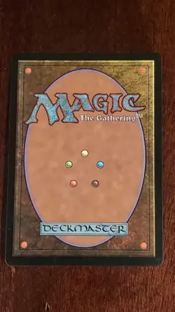 Land Grant Mercadian Masques MM EX/LP 255/350 MTG Magic the Gathering Common - Image 2