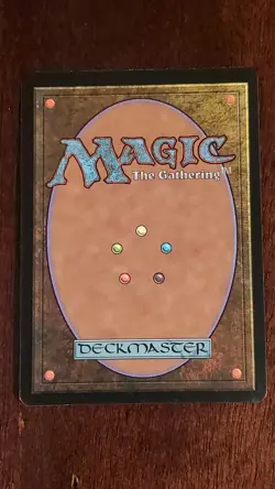 Land Grant Mercadian Masques MM EX/LP 255/350 MTG Magic the Gathering Common - Image 4