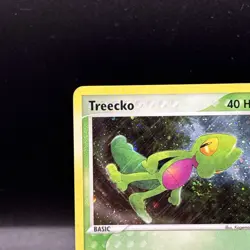 Pokemon Treecko #016 Holo Black Star Promo Card Near Mint Condition **SWIRL!!** - Image 3