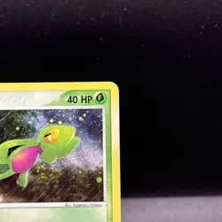 Pokemon Treecko #016 Holo Black Star Promo Card Near Mint Condition **SWIRL!!** - Image 4