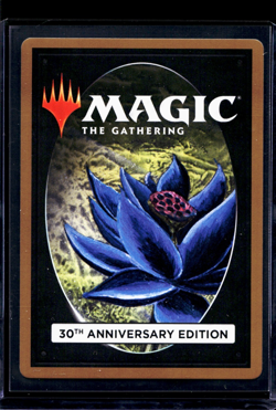 2022 MTG Magic the Gathering 30A 30th Anniversary #289 Swamp - Image 2