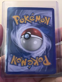 Pokemon TCG Wailord Ruby & Sapphire 14/109 Holo Rare 2003 120 HP English - Image 4