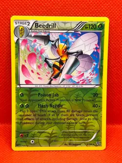 Pokemon Tcg Beedrill 5/146 XY Base Set Reverse Holo - Image 1