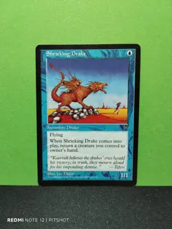 Shrieking Drake / Kreischender Sceada - MTG Magic - Image 1