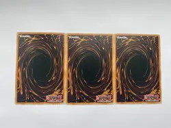 3 x DOOD-EN069 – Infernal Punisher Common 1st Ed YuGiOh - Image 2