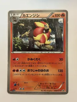 Pyroar Pokemon Card 033/XY-P 2014 PROMO Nintendo Game Freak TCG Japanese - Image 1