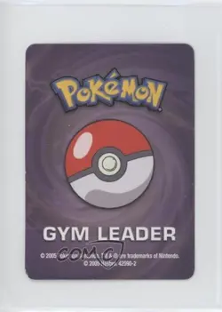 Gym Leader - Brawly Pokemon Master Trainer Board Game Pokemon Cards 2005 - Image 2