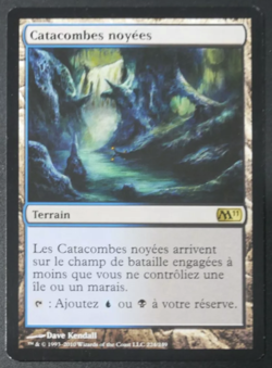 mtg magic 2011 m11 drowned catacomb FRENCH vf fr catacombes noyees - Image 1