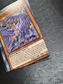 YuGiOh! Simorgh, Bird Of Protection RIRA - Error Misprint Miscut 1st Edition NM - Image 5