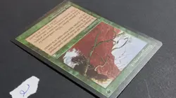 [MTG] - Bourgeonnement / Burgeoning FR2 [Magic The Gathering] - Image 4