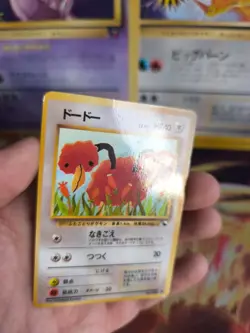 Pokemon Karte Card Vending expansion sheet japanese Doduo Dodu Glossy Exc-NM - Image 2