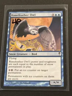 Coldsnap Rimefeather Owl MTG Magic the Gathering HP - Image 1