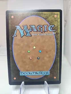 Swiftfoot Boots Foundations Regular - Image 2