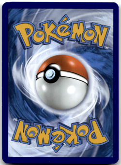Squirtle 170/165 MEWen 151 English Pokemon Card NM - Image 3