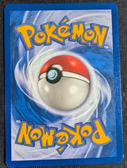 Gastly - 1st Edition - 33/62 Fossil - NM - Pokemon TCG WOTC - Image 4