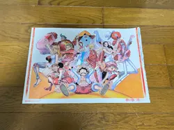 One Piece Card P-033 Shonen Jump 25th Anniversary Limited Card & Poster FM Japan - Image 2