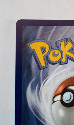 Pokemon TCG: Donphan Celebrations #107/123 MINT - Image 4