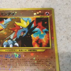 Double HOLO SWIRLS! Japanese Entei - #244 Pokemon Card - 2 Swirls - Image 5