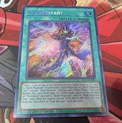 Yu-Gi-Oh Soul Servant LDS3-EN095 English Secret Rare Foil Limited Edition - Image 1