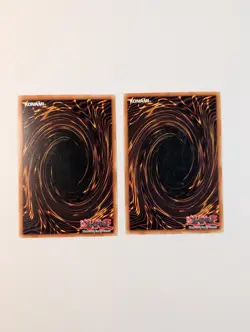 Yugioh TCG - 2x Ryu Kokki SD2-EN008 - LP - 1st Edition - Common Structure Deck 2 - Image 2