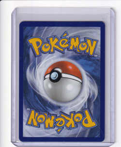 Raticate 099/088 Pokemon Mega Evolution: Perfect Order Illustration Rare English - Image 2