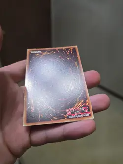 Naturia Rosewhip HA02-EN041 Super Rare - 1st Yugioh Very LP - Image 2